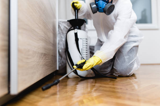 Best Emergency Pest Control  in Seabrook, MD