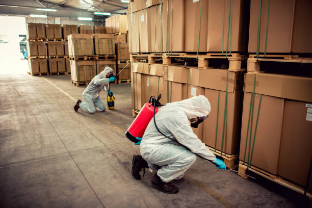 Trusted Seabrook, MD Pest Control Experts