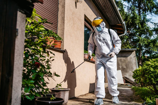 Best Rodent Control Near Me  in Seabrook, MD