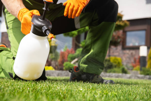 Best Termite Control Services  in Seabrook, MD