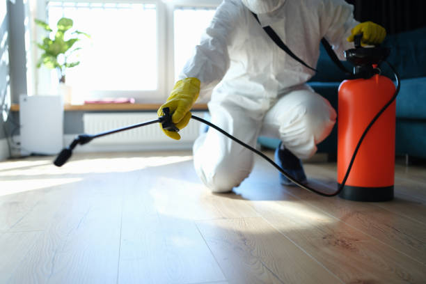 Best Flea Control Services  in Seabrook, MD