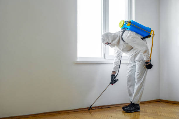 Best Local Pest Control Services  in Seabrook, MD