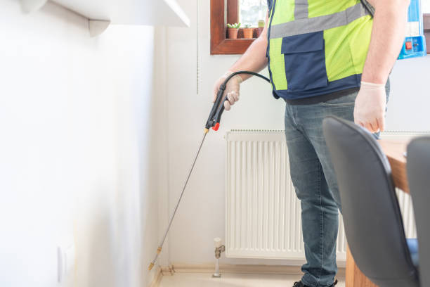 Best Termite Control Services  in Seabrook, MD