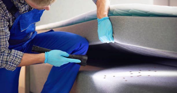 Best Pest Prevention Services  in Seabrook, MD