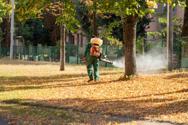 Pest Prevention Services in Seabrook, MD