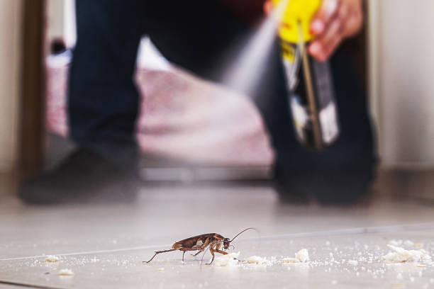Best Wildlife Control Services  in Seabrook, MD