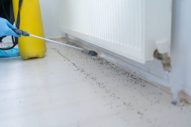 Best Insect Control  in Seabrook, MD