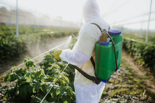Insect Control in Seabrook, MD